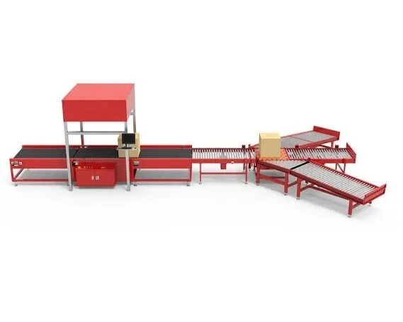 Truelisort High Quality Custom Machine DWS System for Logistics Transportation Sorting and Weighing