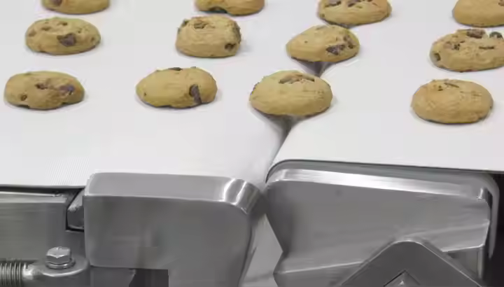 Food Conveyor Belts