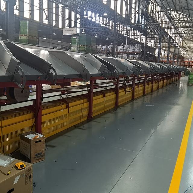 Cross Belt Sorting System