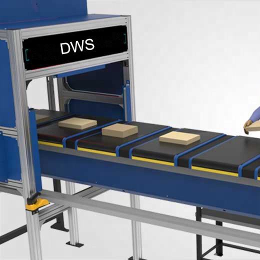 Dws Sorting System