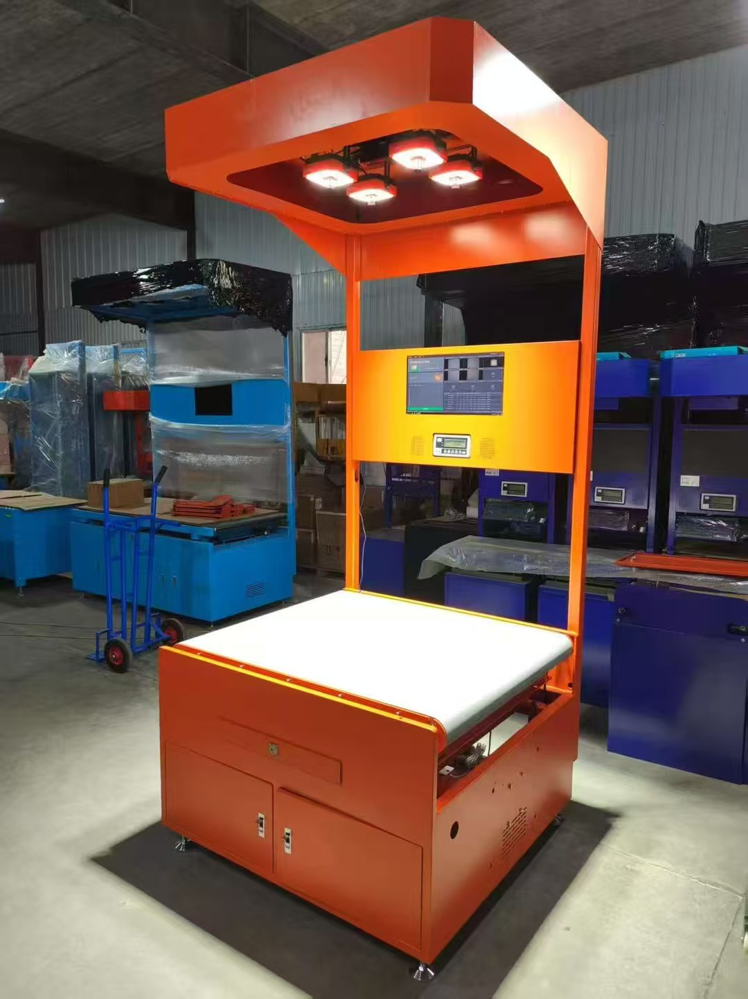 Truelisort DWS Enhanced Reliability Speeds up Parcel Processing Streamlines Sorting Process Automated Sorting Solution