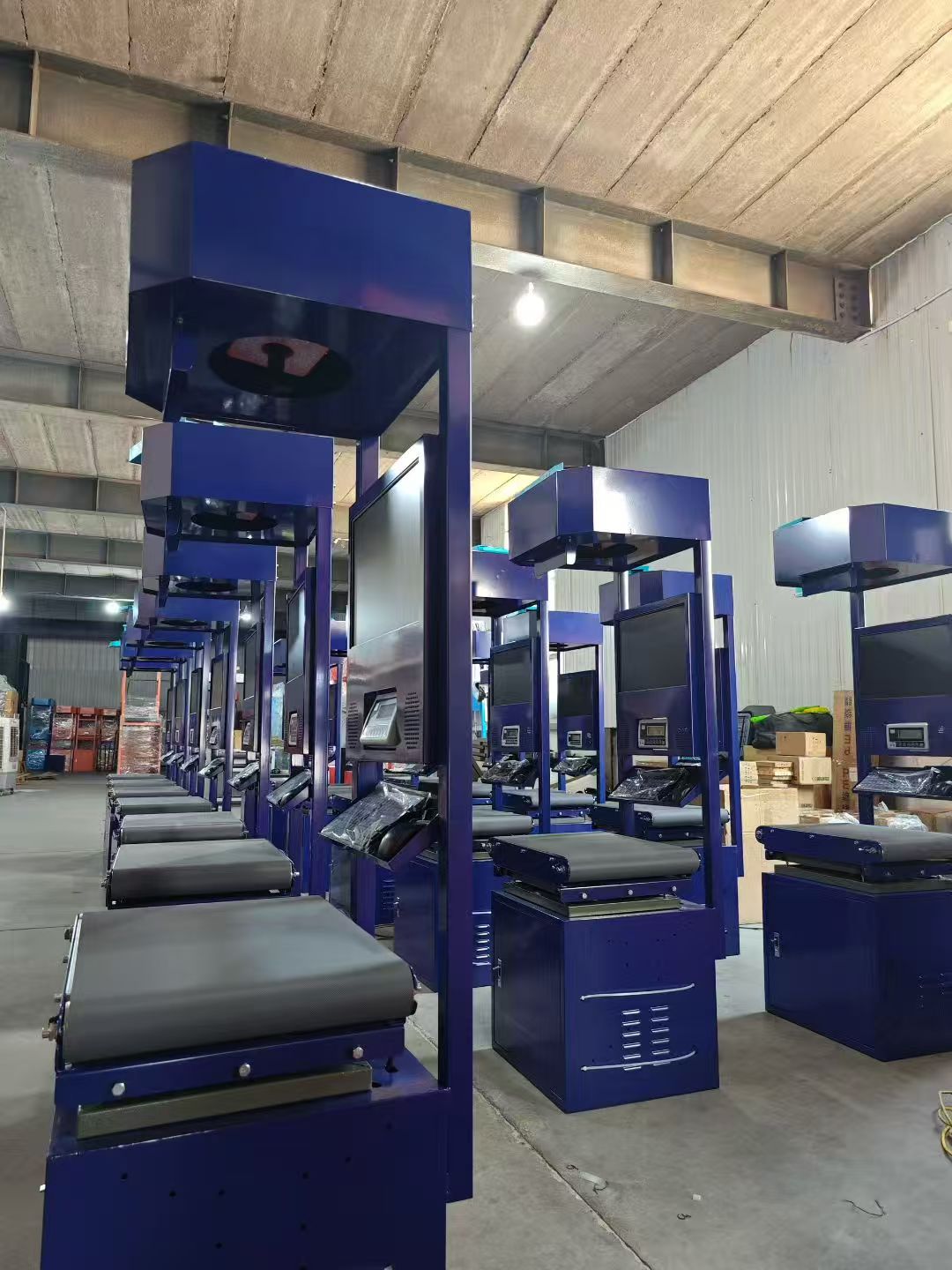Truelisort Improves Supply Chain Accuracy Advanced Measurement Weighing Scanning Capabilities Elevates Logistics DWS Sorter