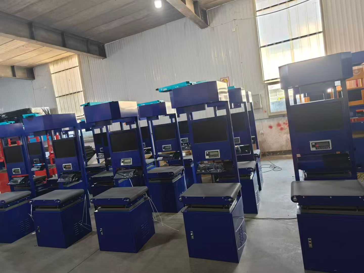 DWS Sorting System