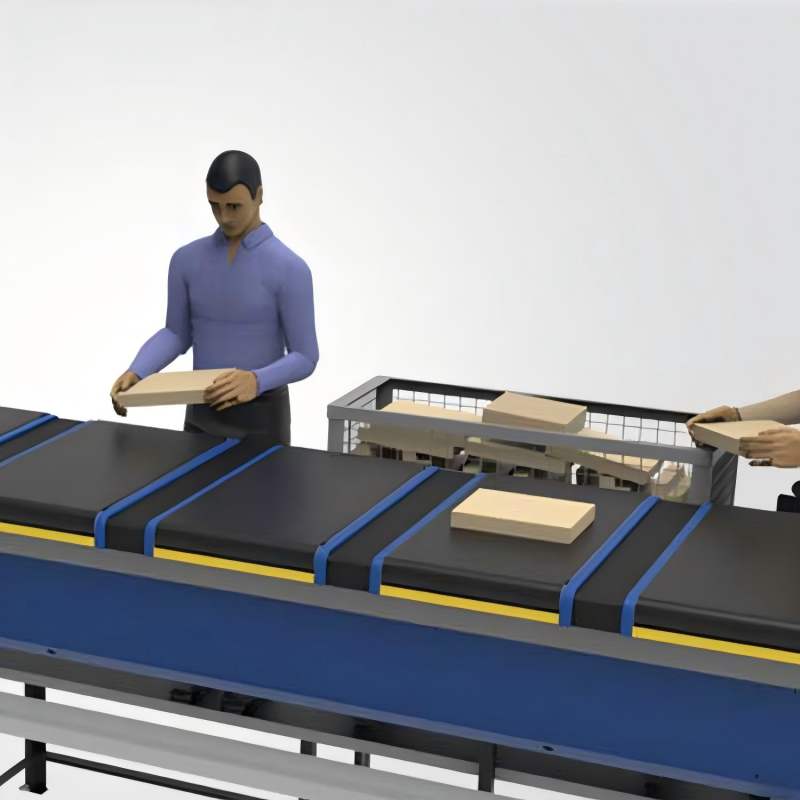 Truelisort Wholesale Cross Belt Sorting Trolley Crossbelt Sorter System and Method of Sorting Articles Includes Track Assembly