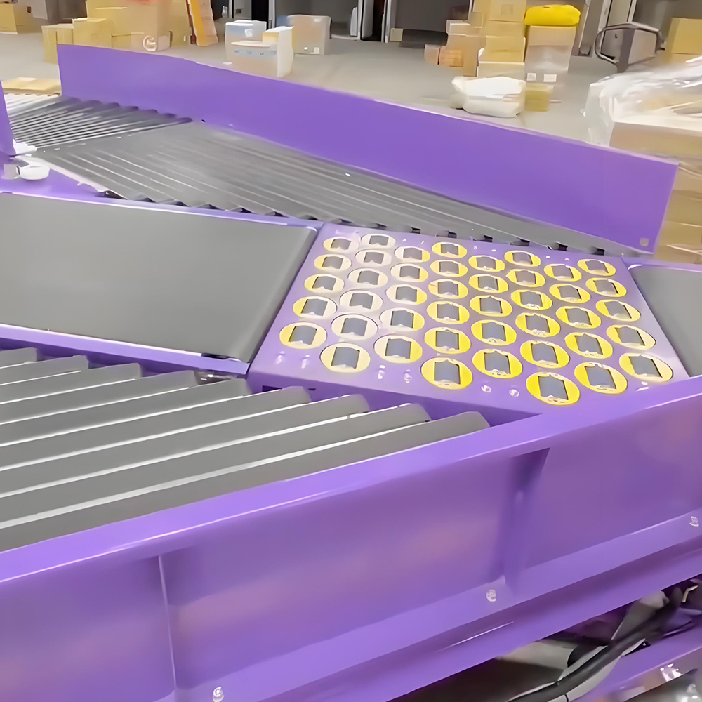 Trueli Customize Cross Belt Sorter for Parcel Food Medicine Sorting for Logistics Warehouse with Dws System Scanning