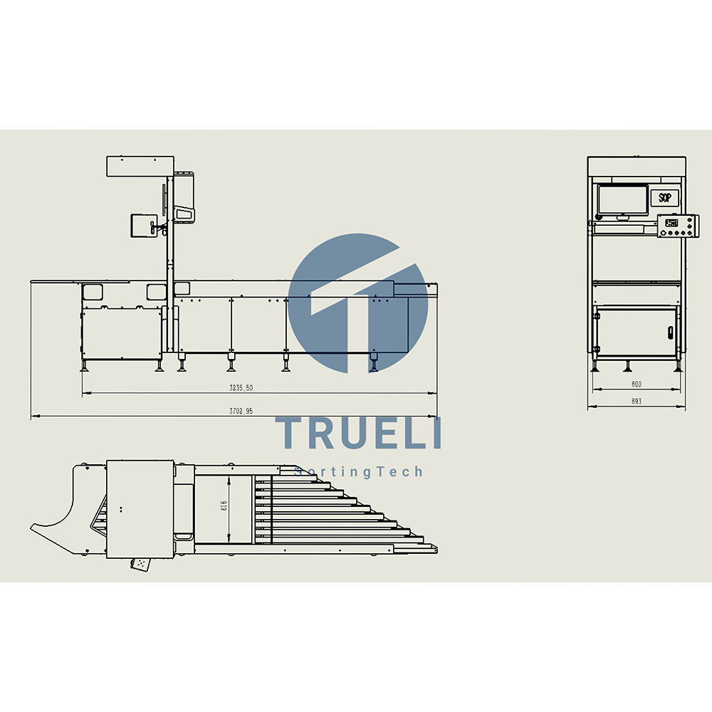 Truelisort Automated Sorting Equipment with Packing Solutions for Optimizing Warehouse and Fulfillment Centers