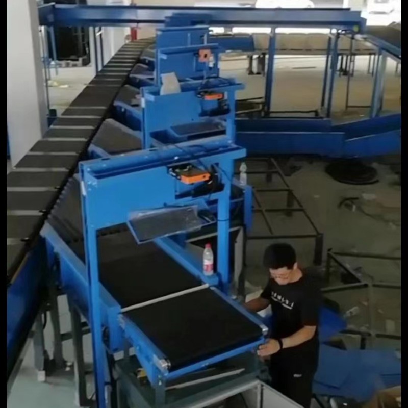 Truelisort China Made Cross Belt Sorter Over Conveyor Workstations and Storage Parcel Automatic Feeding System - Image 3