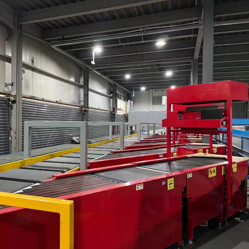 Truelisort China Made Cross Belt Sorter Over Conveyor Workstations and Storage Parcel Automatic Feeding System - Image 6
