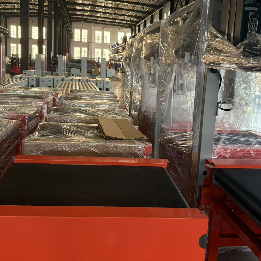 Truelisort Package Supply Table with Automatic Weighing Scanning and Supply Features Ideal for Cross Belt Sorter Integration