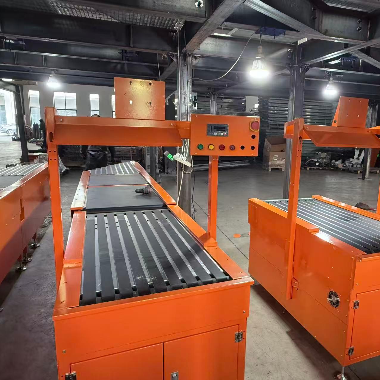 Truelisort High Efficiency Feed Station Feeding System Logistics Sorting Equipment and Packing Platforms