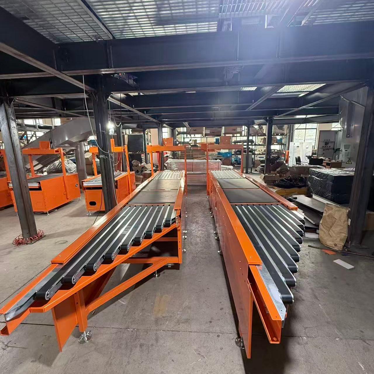 Truelisort Professional Wholesale Cheap Automatic Infeeding System Over Conveyor Workstations Conveyor for Order Picking and Kitting