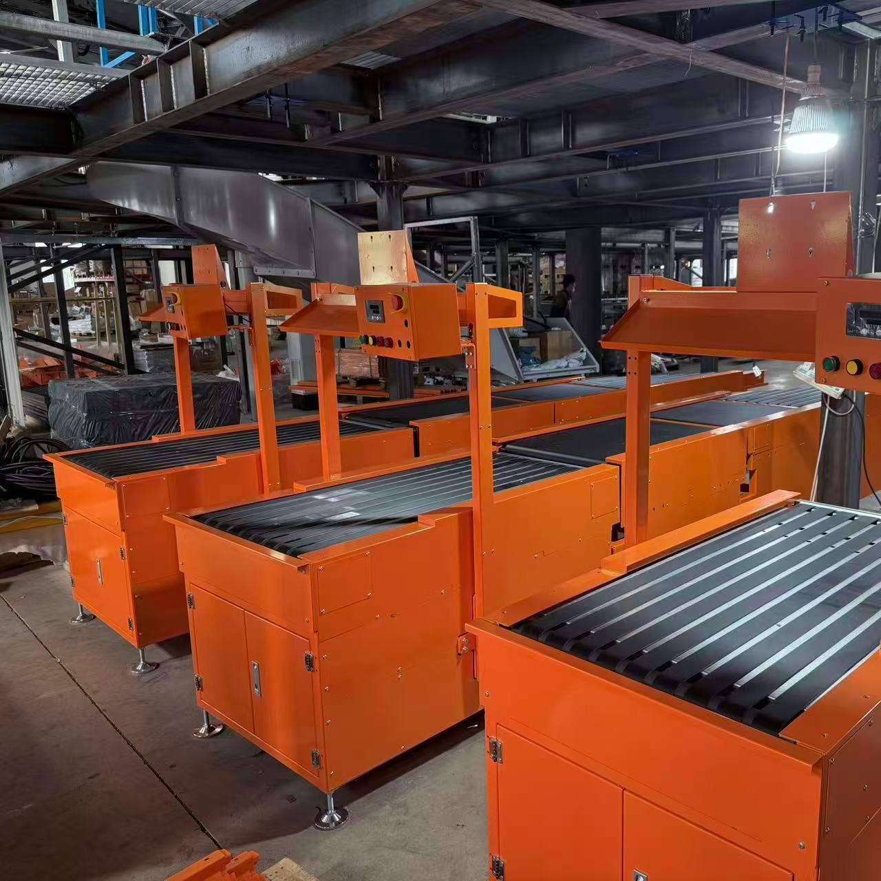 Truelisort Professional Wholesale Cheap Automatic Infeeding System Over Conveyor Workstations Conveyor for Order Picking and Kitting