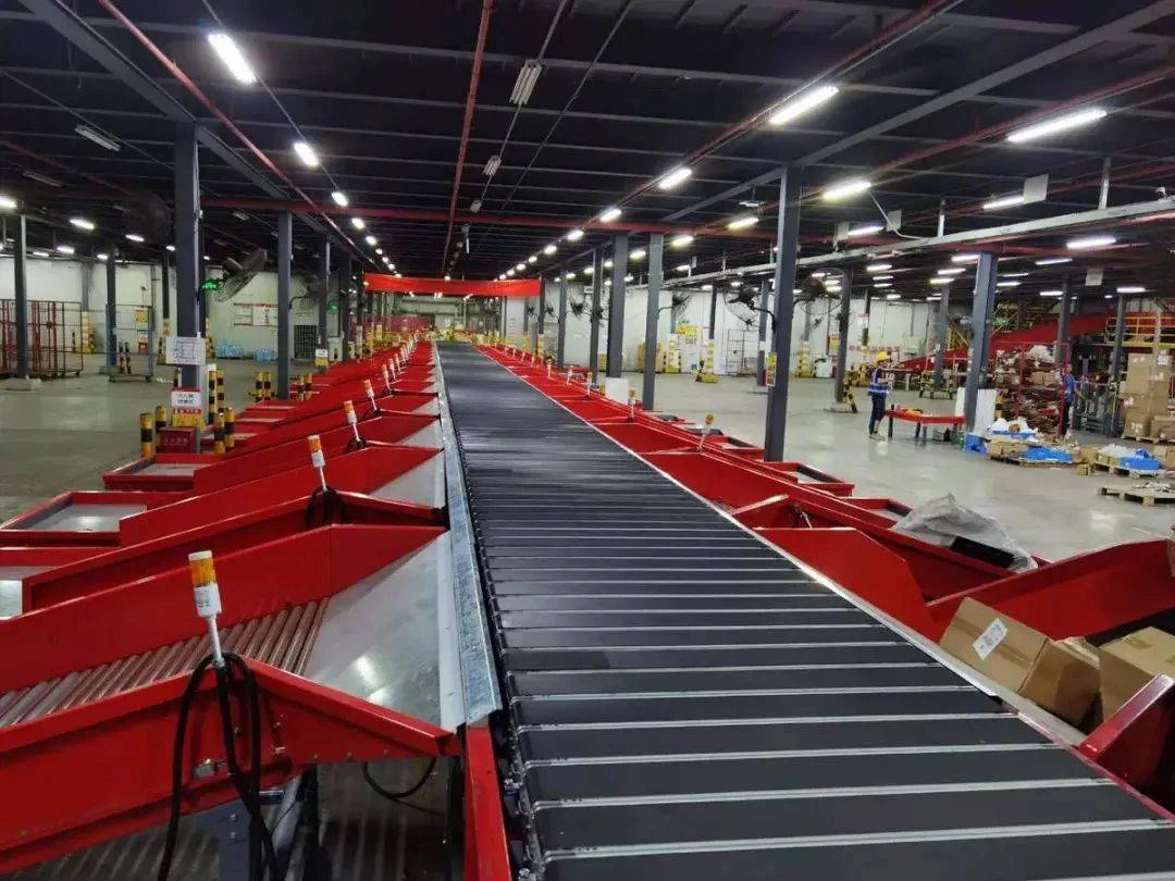 TR200-1750 Narrow Belt Sorter with 10000 PPH capacity by TrueLiSort