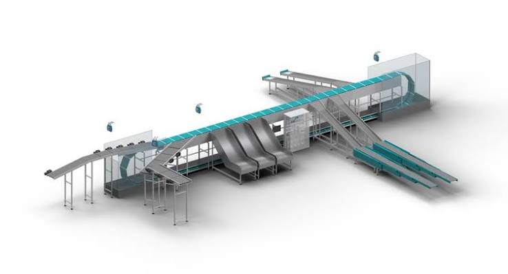Fresh Food E-Commerce Solutions: The Flexibility of Cross-Belt Sorters in Low-Temperature Environments