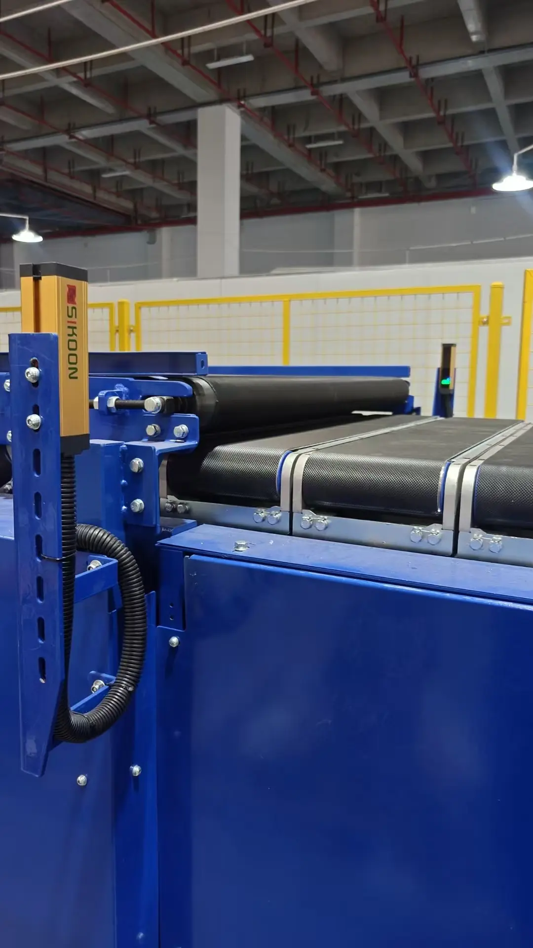 Narrow Belt Sorter